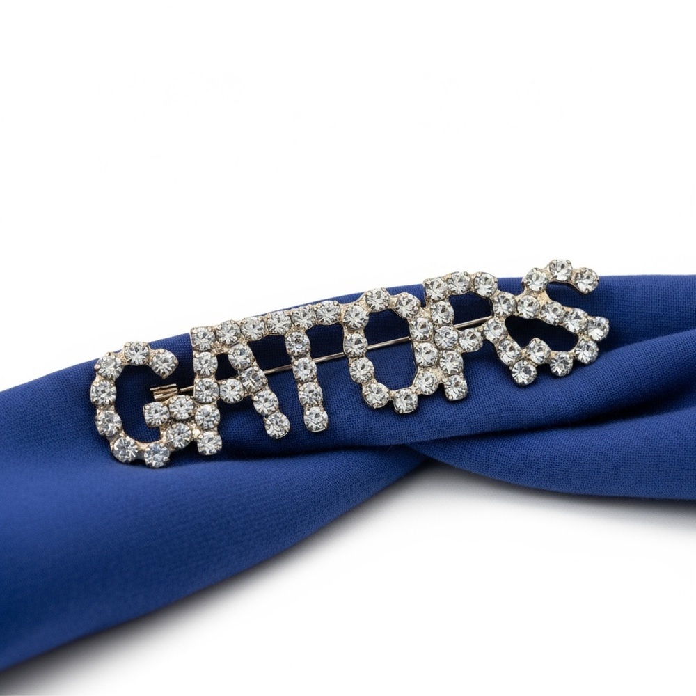 Florida “Gators" Crystal Brooch…Vintage